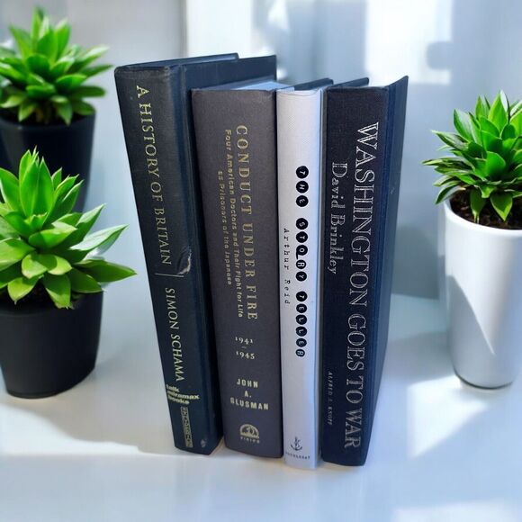 Decorative Book Accents Neutral Minimalist Tones Home Staging Books - Picture 1 of 16